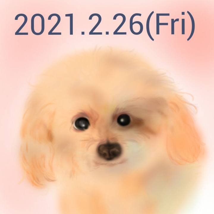 2469e139 5303 4ac5 9c05 be56f0e869bc 1614341547772