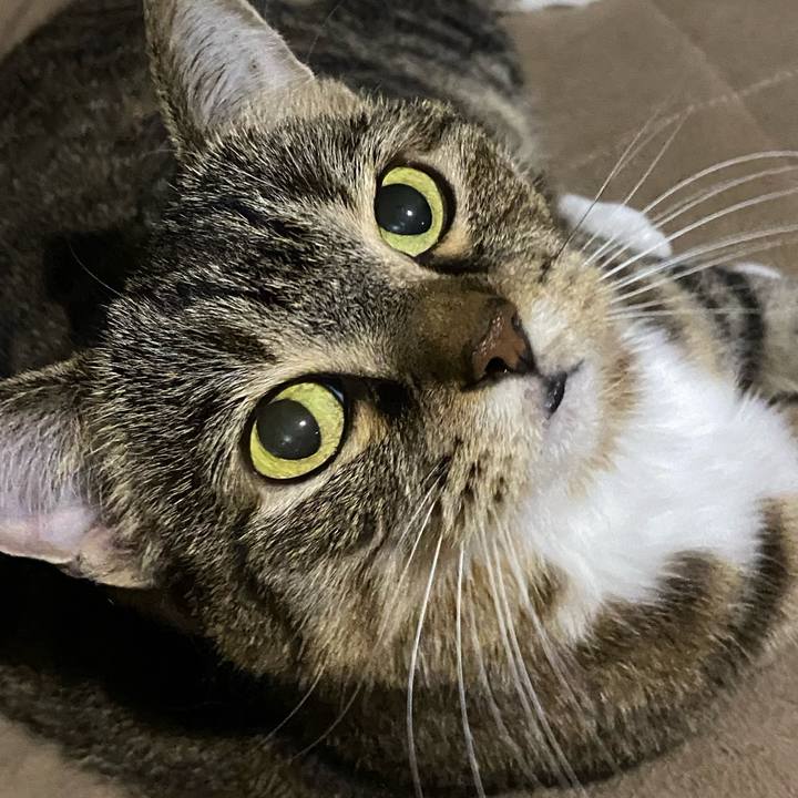 2469f465 ecad 497f aec4 0d1c0ecf7dc1 1698749226846