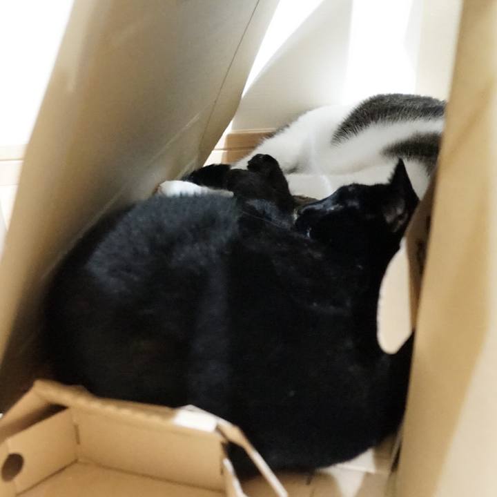 246a2bbc 66cc 43fc ad7b a0cb13995301 1563197944806