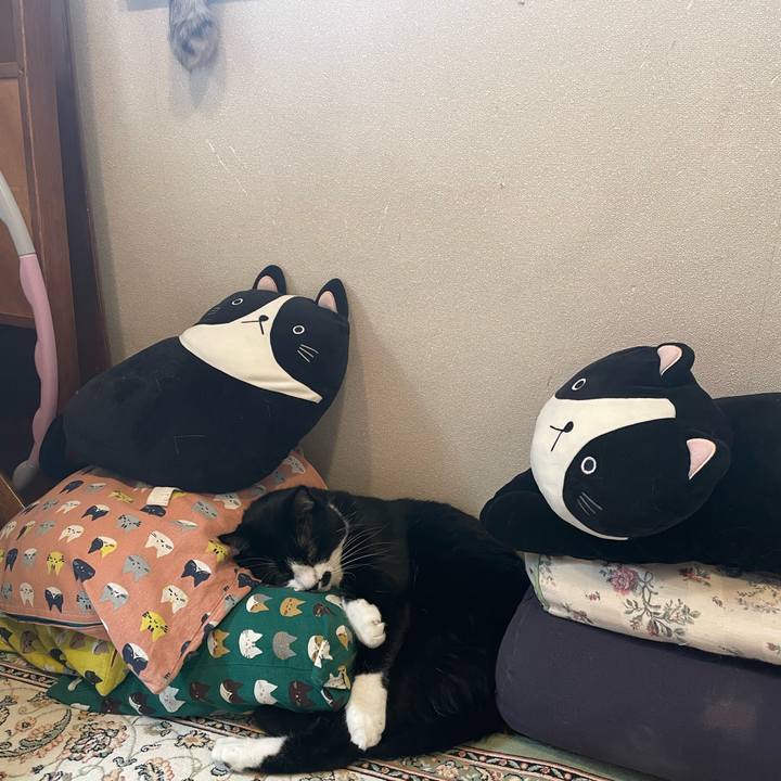 246a4024 8224 413e 9c28 6ea4cf26d715 1751840545180