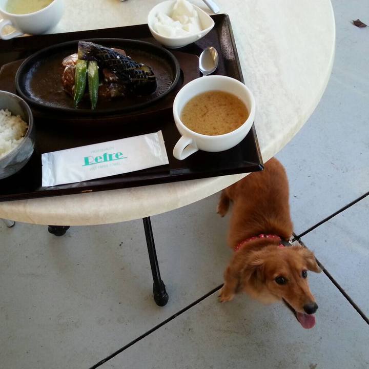 246a473f 2e5f 44c4 a06f d3ab6cdd0ad1 1538401857192