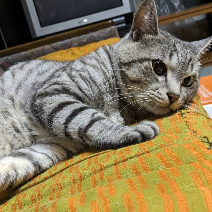 246a4b7a 124b 4239 a496 e64ac3b03d33 1695044482417