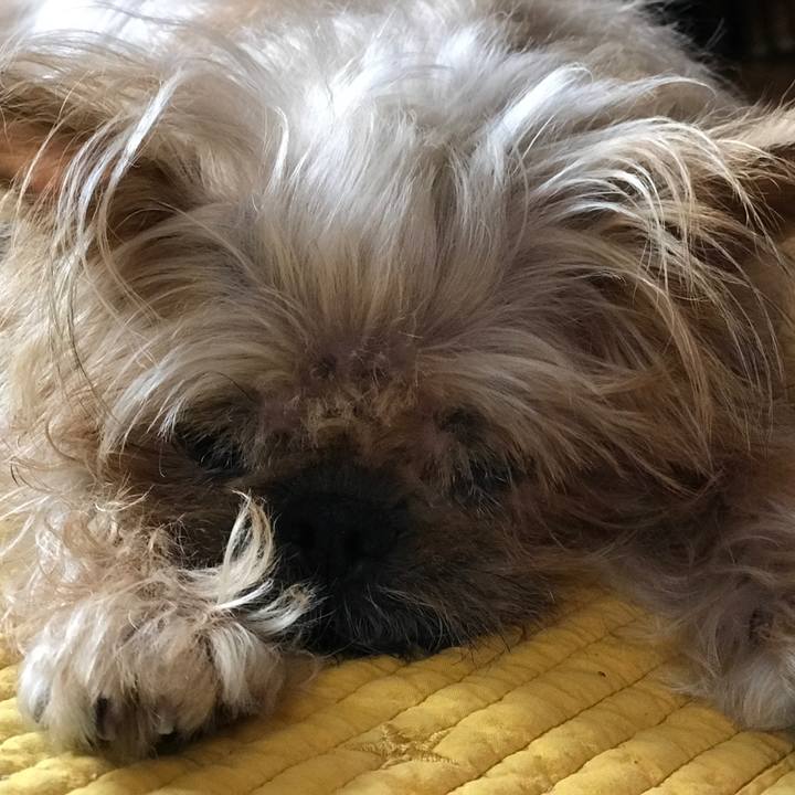 246a7c73 3a74 4606 82a4 4bd1e42072e6 1567731191175