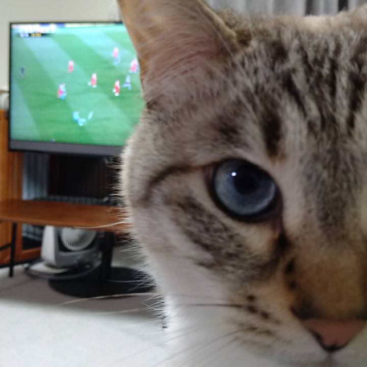 246a9a68 311f 4b6a 96cb c007e17b1c7a 1616668532698