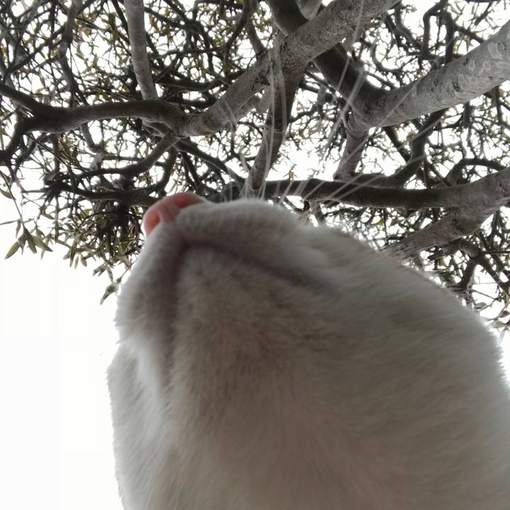 246a9fa0 b070 4047 bfa5 1c6149e889de 1520638518119