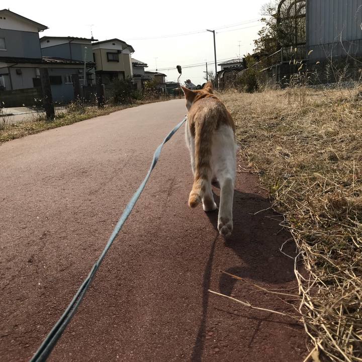 246aa380 5ed7 4421 8e13 46ae7c134af4 1521003396492