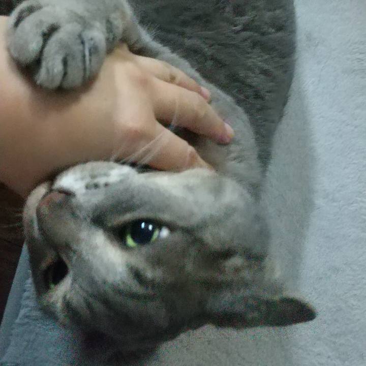 246afab5 08ea 4d23 b9d5 f54fec8015cf 1625366435005