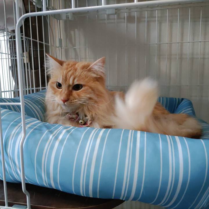 246b25d4 9d15 4299 aa48 43f00656a018 1682294128144