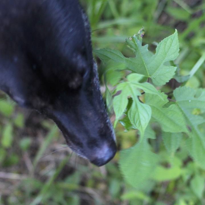 246b4eda bdce 46a8 8c7e bcf94af308bb 1532582120183