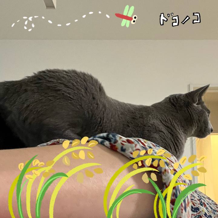 246b700c eff3 46b8 8862 944f4b209e28 1761351309126