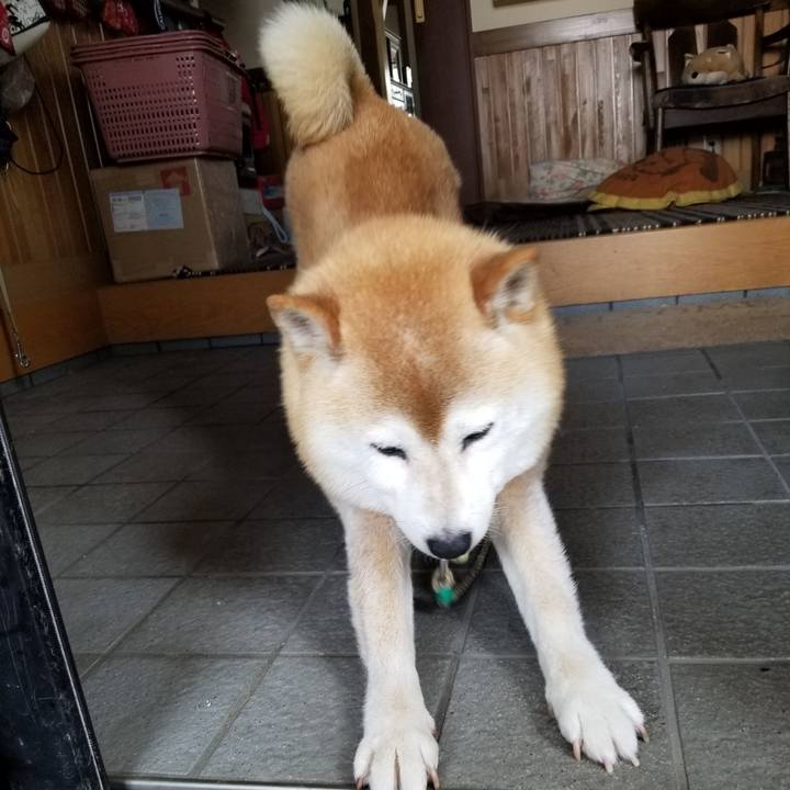 246b7a8c e9b6 4f29 af32 f5710d4c6274 1657062294965