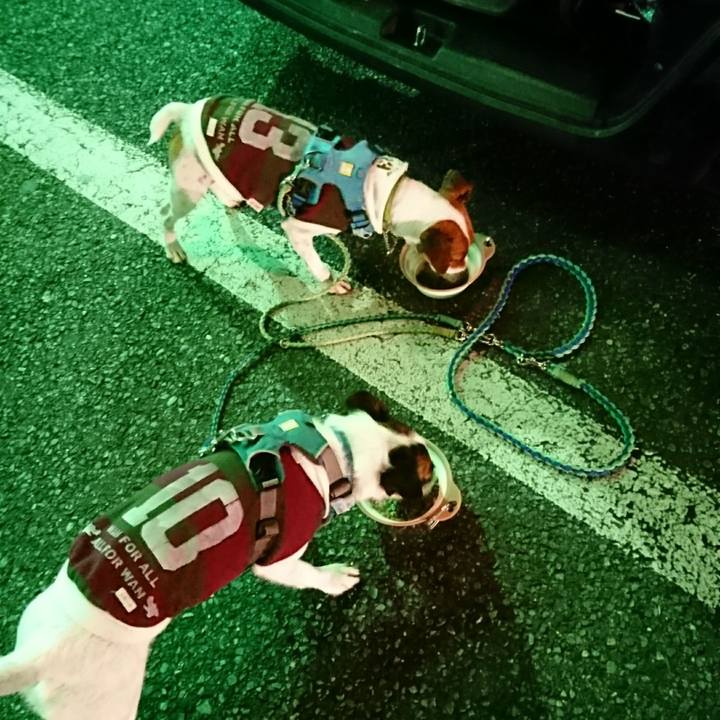 246b8c7c 498d 4463 bcc3 3f74d2fa1660 1605790468231