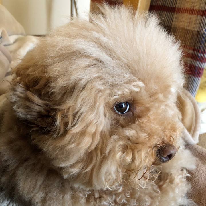 246bbd51 ba78 4987 8335 be0adf4911f6 1519895242073