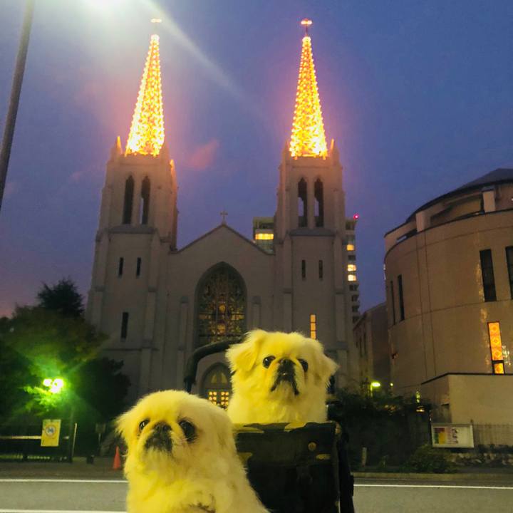 246c0d70 d606 4e21 ae99 901eca75b787 1574588592613