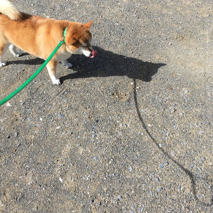 246c214c 49d9 48a9 804a c44e1801c121 1599091893234