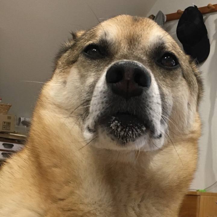 246c3500 ee02 4ab2 8038 f4946e58f7bf 1533733331200