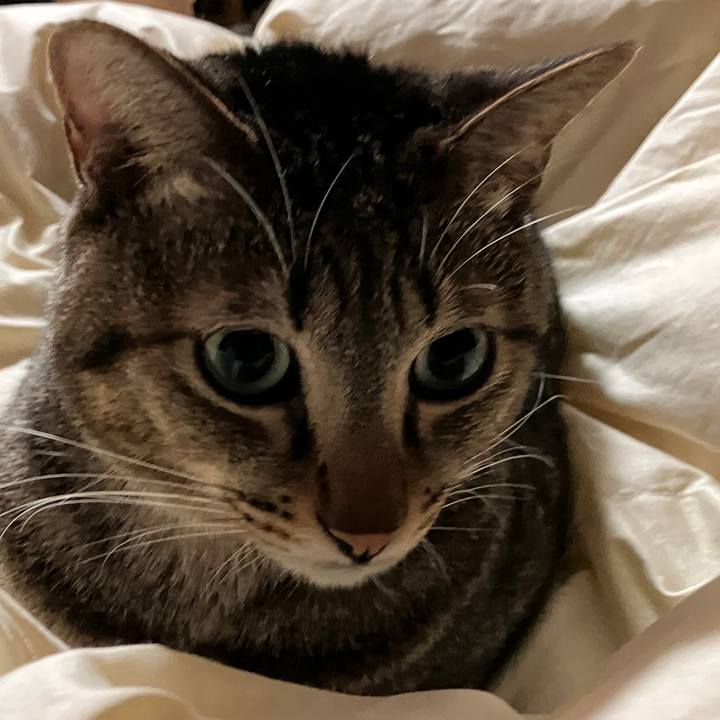 246c6927 fbbd 4004 83f1 b679ea51206b 1764026839849