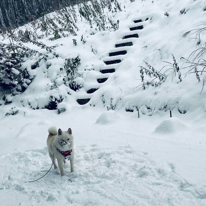 246c82b9 141c 4af4 b773 eaca39fd69d7 1763420215242