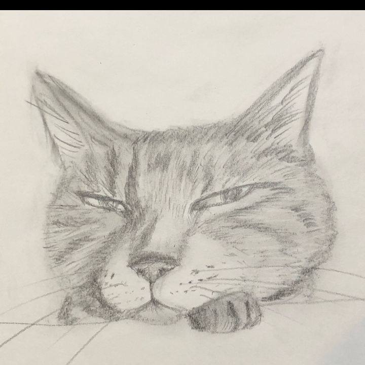 246c890f 620f 43f2 9860 536bba859347 1630534100736