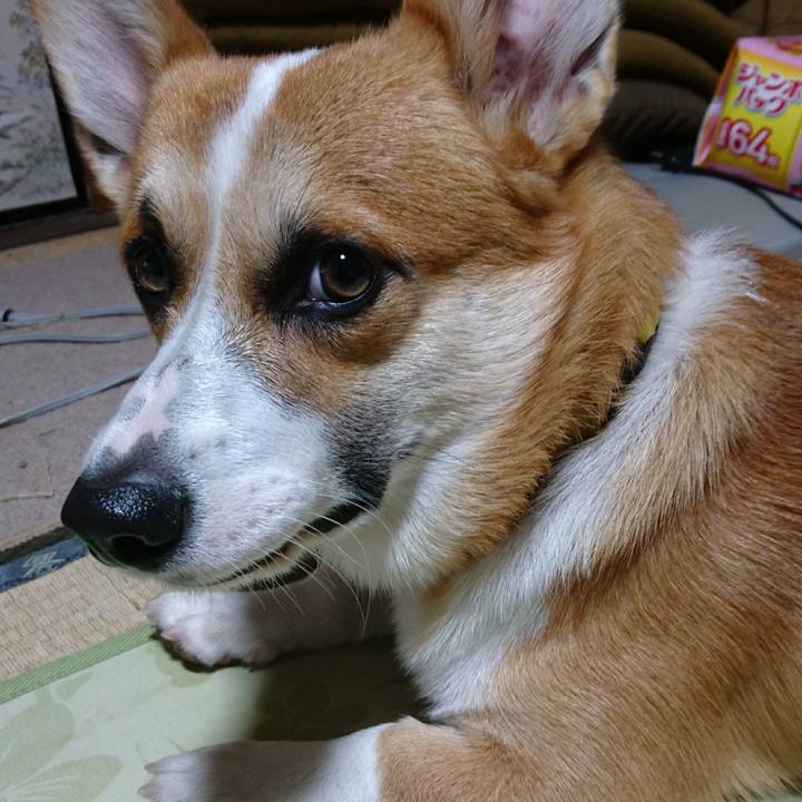 246c91c7 a4d9 4edc b952 e854e0e529d7 1577782530345