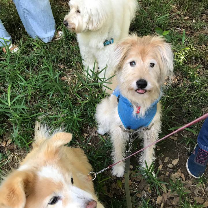 246ccbba d9bd 4183 87ac 86fee93c8ae1 1627036539432