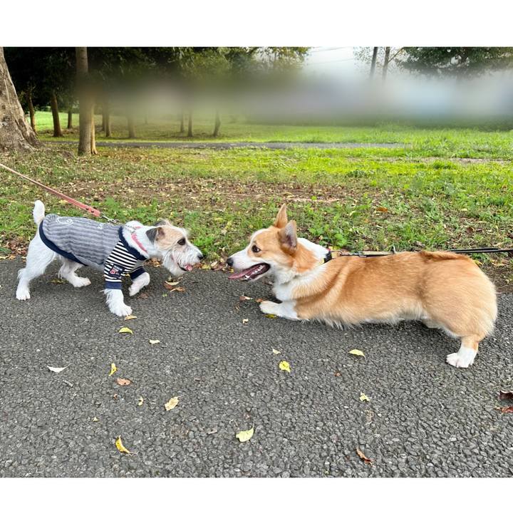 246d7f0d 7ca4 4ef9 8d49 b915e59da445 1697279903922