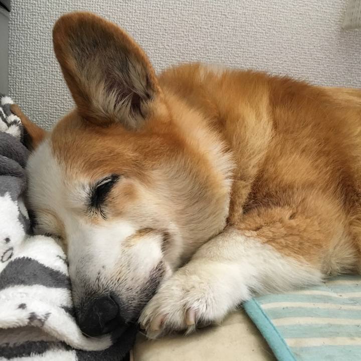 246d8e75 3640 42dc b01f 079646037e2c 1531275858328