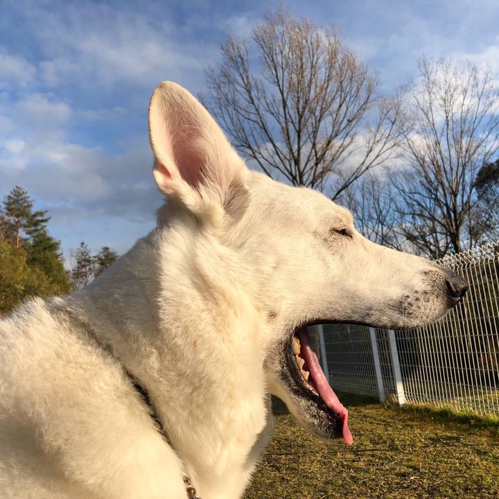 246d94e9 3edc 4482 8b05 8ecfcaa0856a 1552815301720