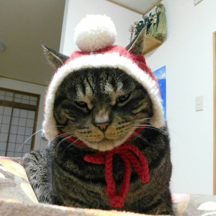 246d95ed 6ae6 4947 8000 6d8a10d4f590 1520346547063