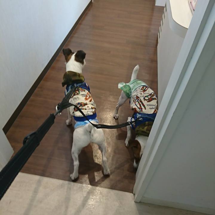 246da867 7302 49bc b5b1 e0b28a00bb83 1550894249445