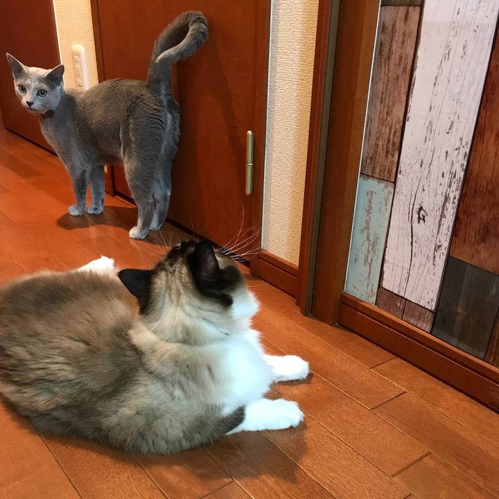 246dba42 d623 44fd 86ea 8a5d997bf4cb 1530345900280