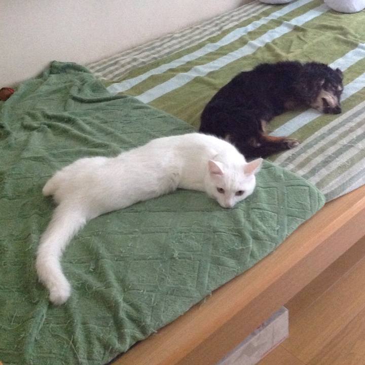 246de37c ca65 445b a5f1 d09d2c169afe 1628994345080