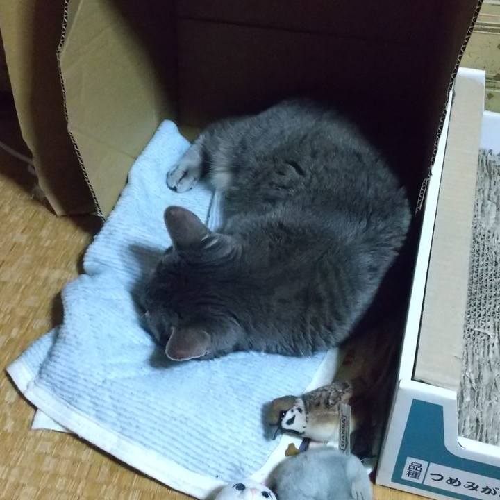 246e02eb b8d7 43f8 a198 381ae2eb8dc6 1681997246941