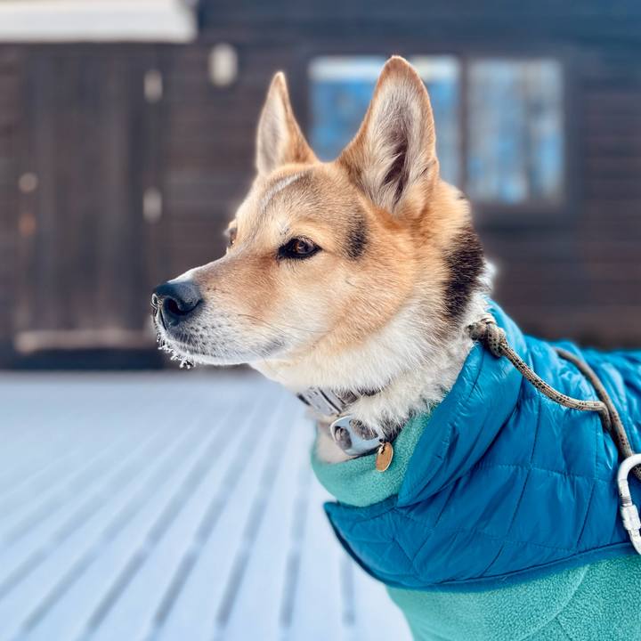 246e26fd bb12 4d4e bc81 60dd63527351 1769733010945