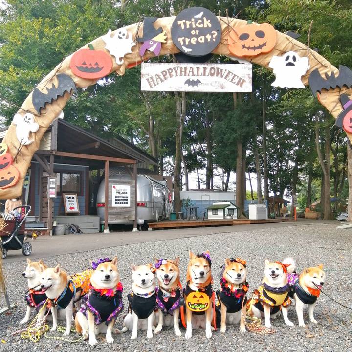 246e2d25 474c 46d5 ada7 300eebdaaa7e 1665883546888