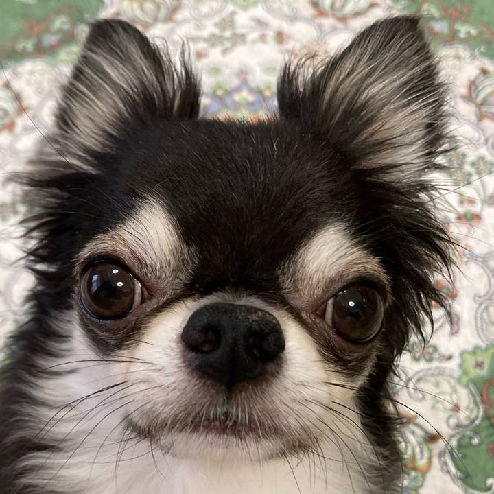 246e4a84 8888 484d 82f9 77c4aac61fe5 1661552543520