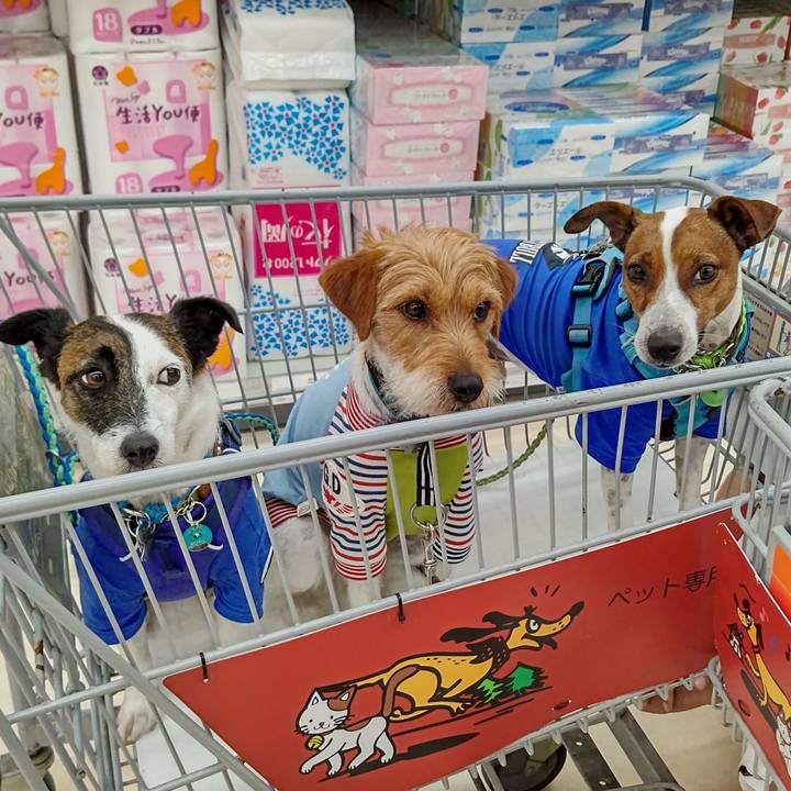 246e5570 d776 4c0f badf 5ab9b1126f4f 1624181921605