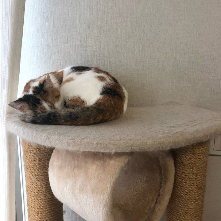 246e66c4 6cf3 4e95 8da6 0269b7fc8963 1571022738630