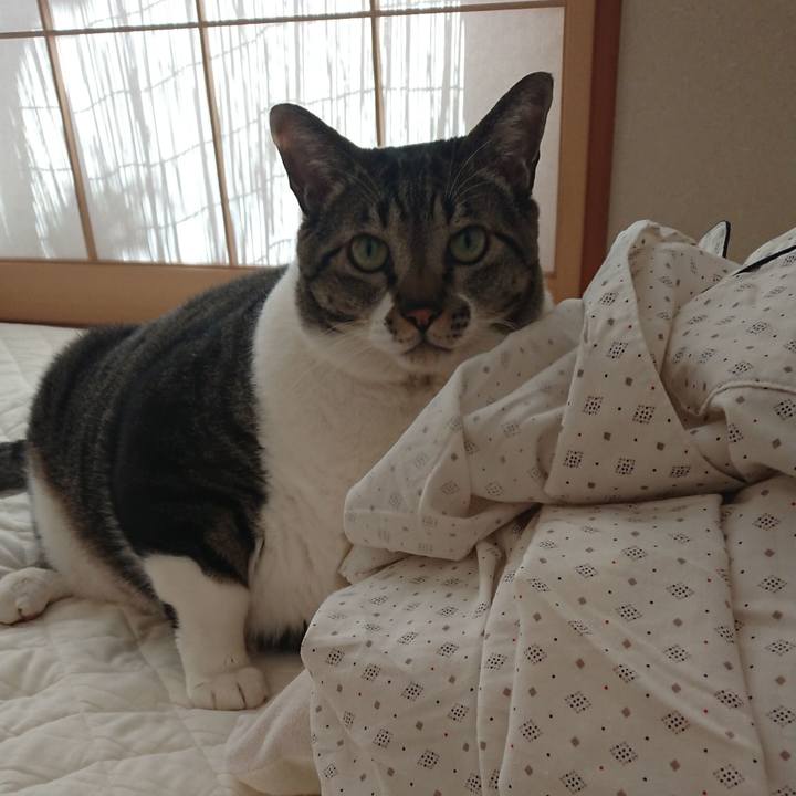 246e910d 0652 41ac 80a5 ac5f54387c16 1542237799310