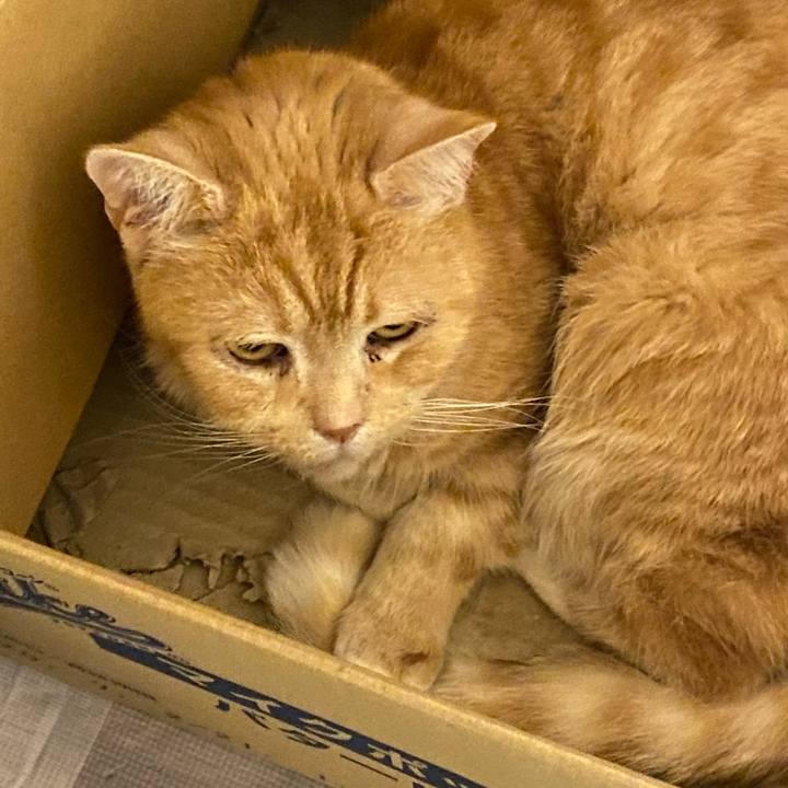 246ebfce d6dc 4740 a0a5 a651e8c1aba4 1617106805469