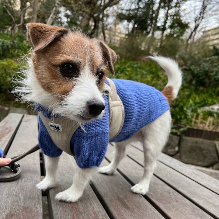 246ec4a2 b341 437b beb6 e32130365e9a 1730721995831