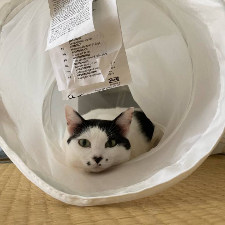 246ec5b1 4b5c 42cc 957e 888a13100f64 1758842387393