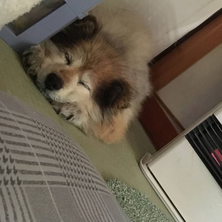 246ec61c 5ddf 453c b0e3 863fca602de5 1609230848042