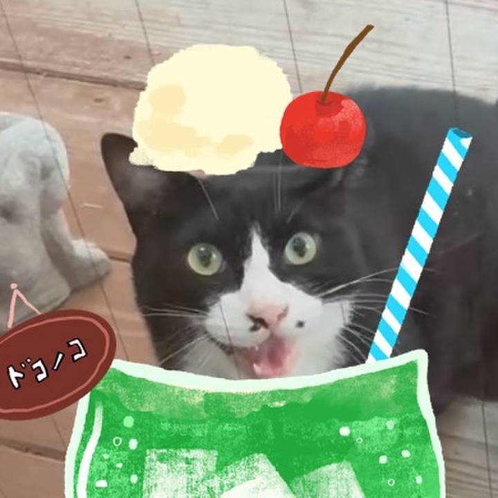 246eebd9 ee3a 4321 a1c1 4b132da48612 1755053713623