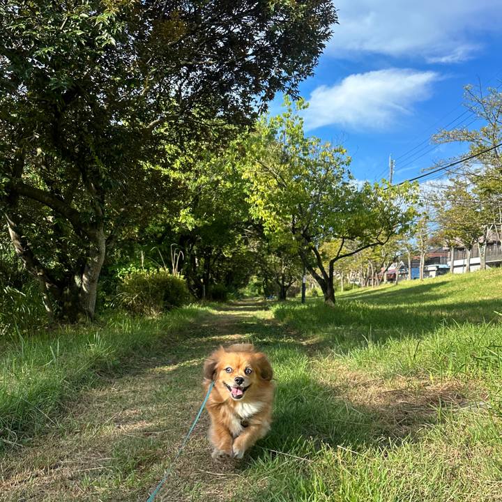 246f096d d37c 45f3 b8da 8c5b3d1347c9 1693695944210