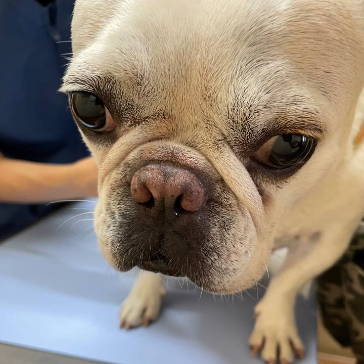 246f2d5a acc5 4d85 973a 1ac585df0da0 1755213142780