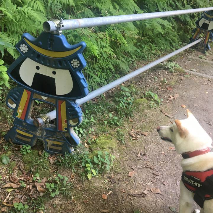 246faa8f 4b3c 423d a595 d29c5e4c811e 1566527976048