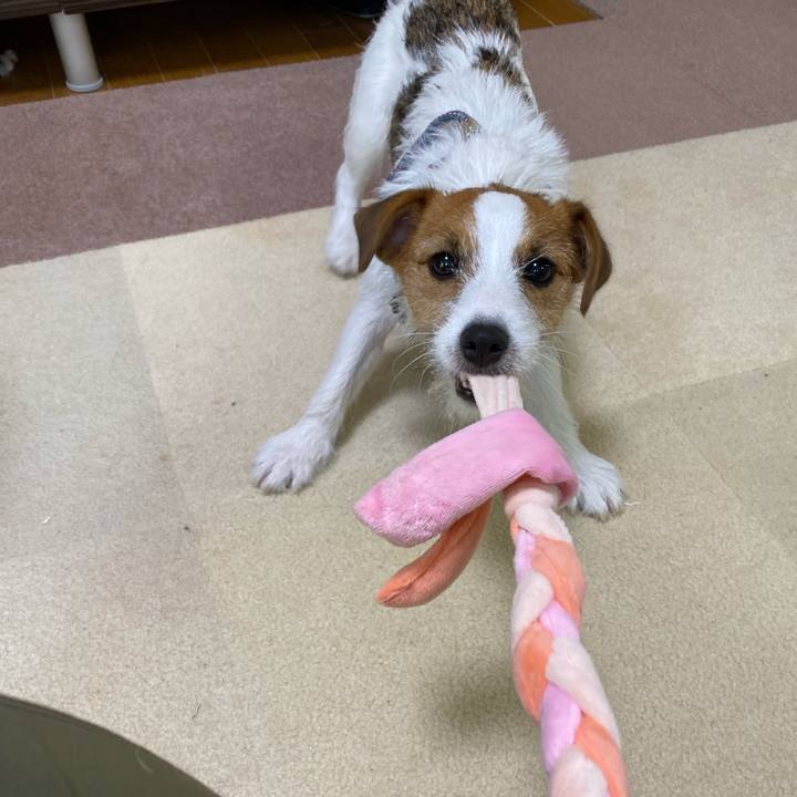 246fb3f4 dfbd 440a 8696 d09eb5995dbb 1627216142213