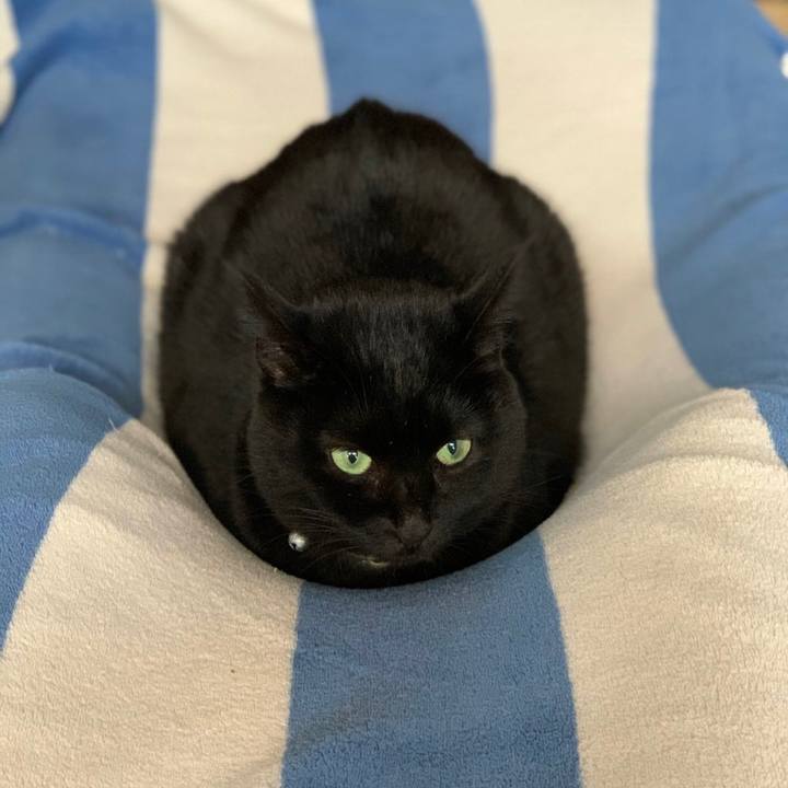 247055ea 3f98 449d 9067 44aef0ad192a 1575980012840