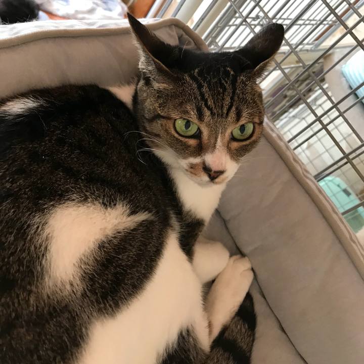 247058d8 e142 4872 b3a8 8f0104f504e2 1536108928925